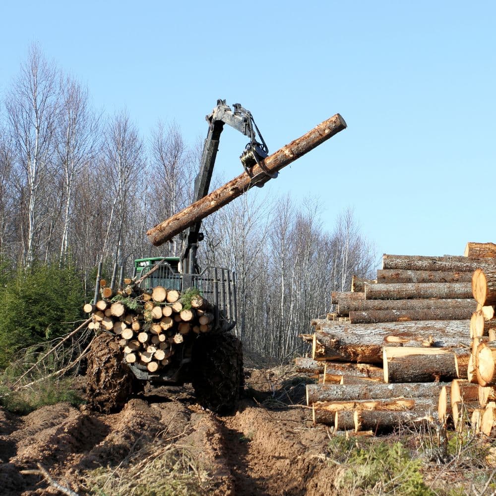 Crédit-bail pour équipement et tracteur forestier au Québec